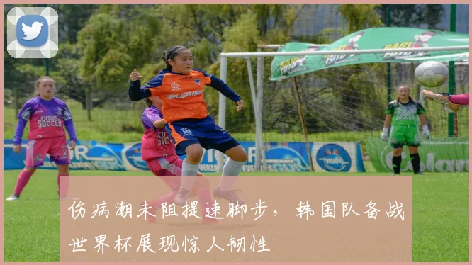 伤病潮未阻提速脚步,韩国队备战世界杯展现惊人韧性