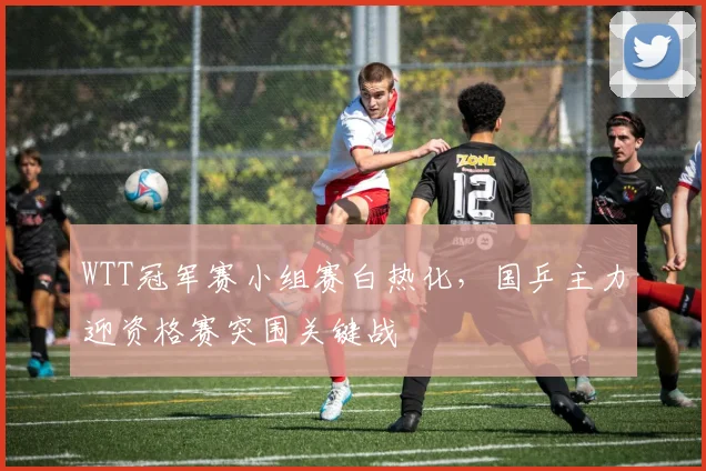 WTT冠军赛小组赛白热化，国乒主力迎资格赛突围关键战