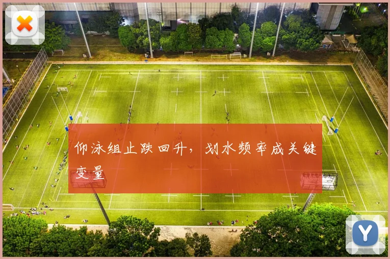 仰泳组止跌回升，划水频率成关键变量